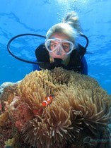 certified diving great barrier reef