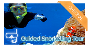 guided-activity-snorkel