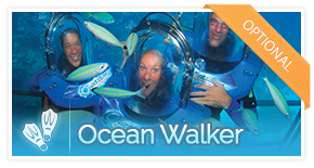 optional-activity-oceanwalker