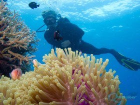 Certified Great Barrier Reef Diving