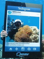 Clownfish Scuba diver Great Barrier Reef