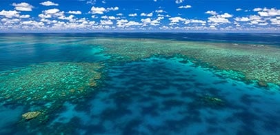 Agincourt Reef Great Barrier Reef